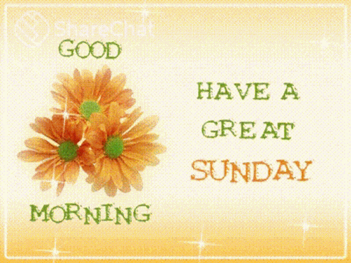 Good Morning Have A Great Sunday GIF