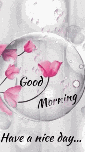 Good Morning Have A Nice Day GIF