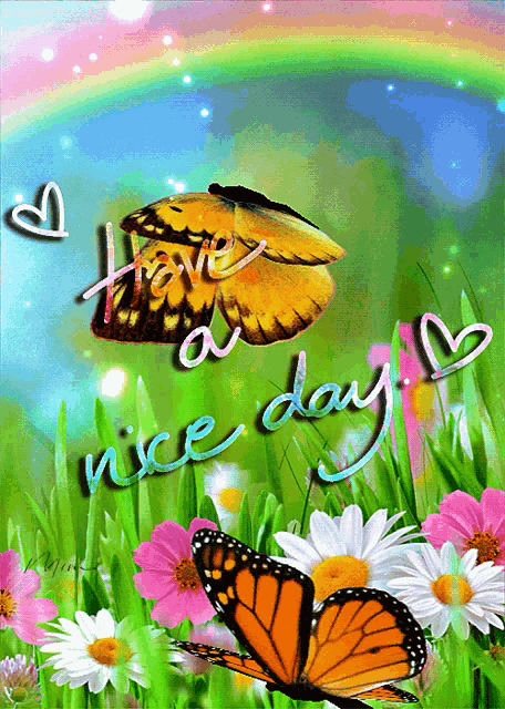Good Morning Have A Nice Day GIF