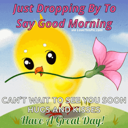 Good Morning Have A Nice Day GIF