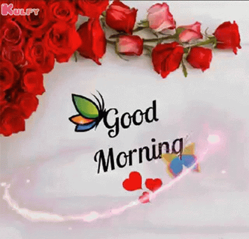 Good Morning Have A Nice Day GIF