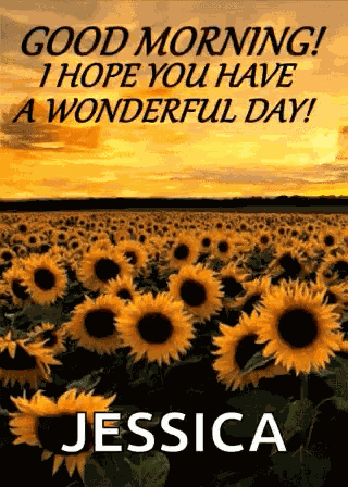 Good Morning Have A Wonderful Day GIF