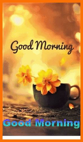 Good Morning Have A Wonderful Day GIF