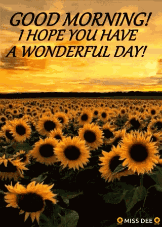 Good Morning Have A Wonderful Day GIF