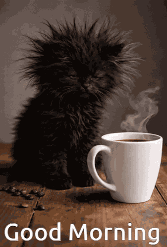 Good Morning Hello GIF