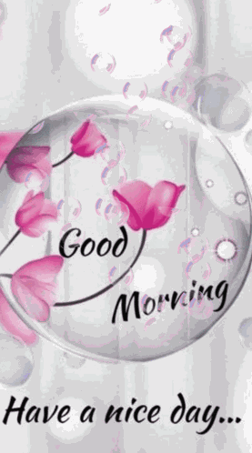 Good Morning Hello GIF
