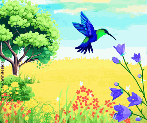 Good Morning Hummingbird GIF