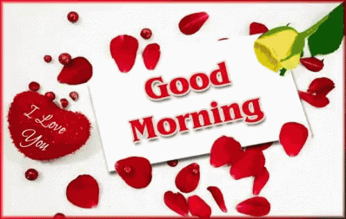Good Morning I I Love You GIF