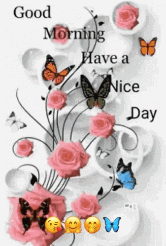 Good Morning GIF