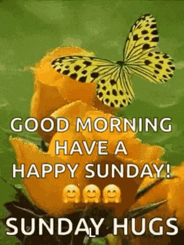 Good Morning Images 2024 GIF