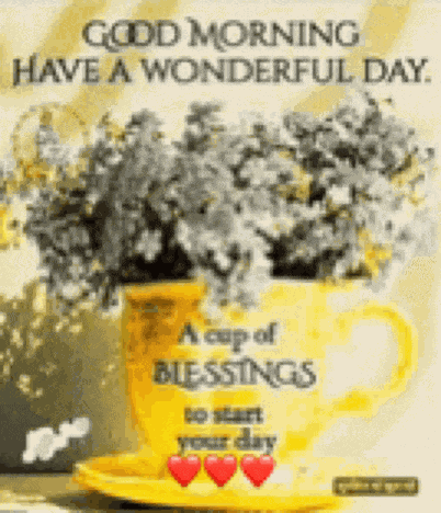 Good Morning Images Good Morning Images 2024 Meme
