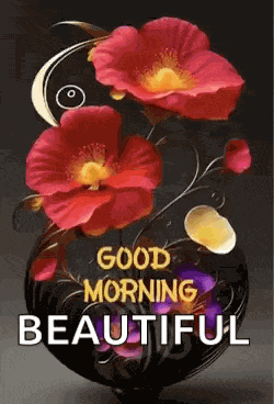 Good Morning Images Good Morning Images New 2023 Meme