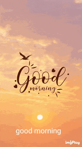 Good Morning Images Good Morning Love Meme