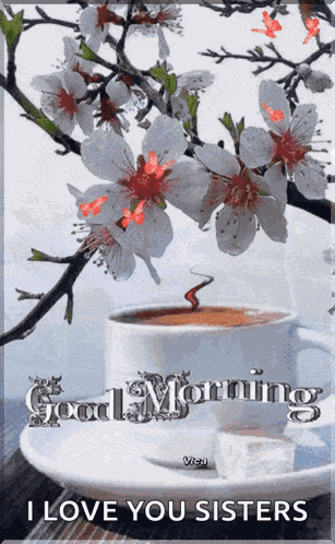 Good Morning Images GIF