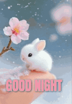 Good Morning Images Meme