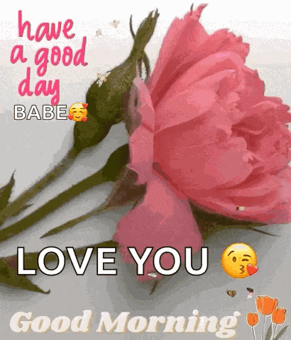 Good Morning Images New 2023 GIF