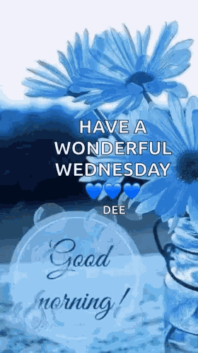 Good Morning Images New 2023 GIF