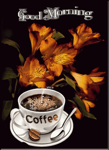 Good Morning Images GIF