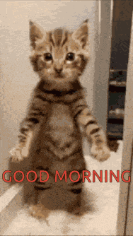 Good Morning Images GIF