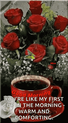 Good Morning Images GIF