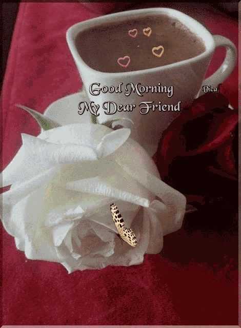 Good Morning Images GIF