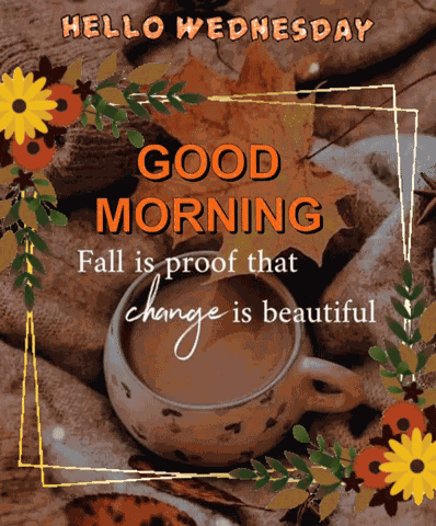Good Morning It'S Wednesday GIF