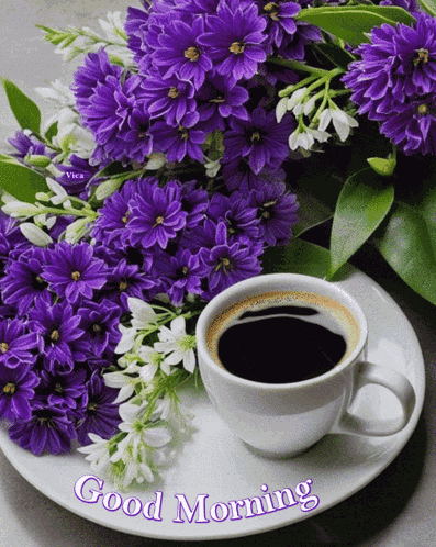 Good Morning GIF