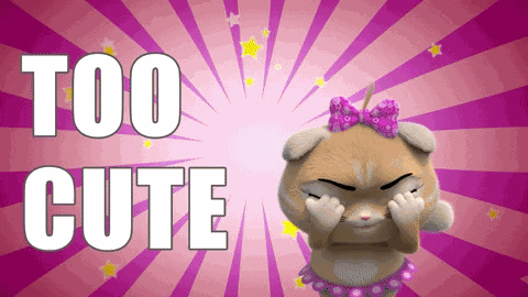 Good Morning GIF