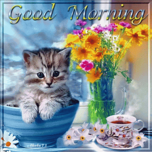 Good Morning GIF