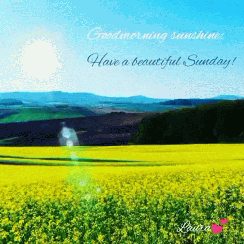 Good Morning Laurasthings GIF