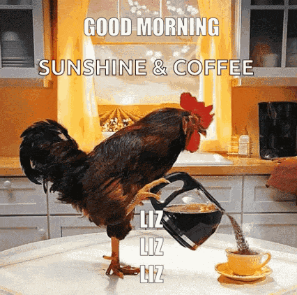 Good Morning Liz GIF