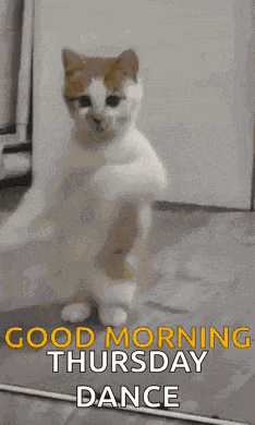 Good Morning GIF
