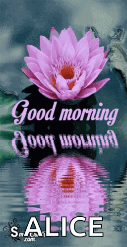 Good Morning Lotus Flower GIF