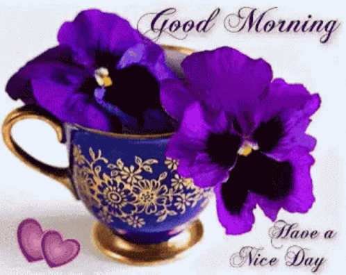 Good Morning Love GIF
