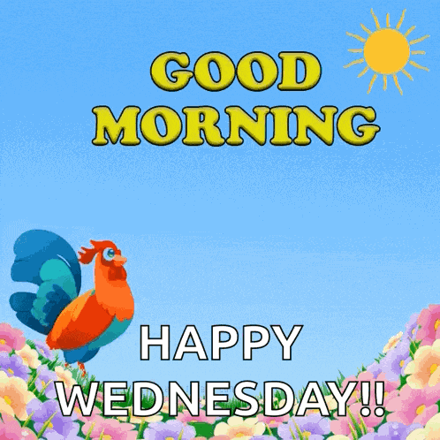 Good Morning GIF