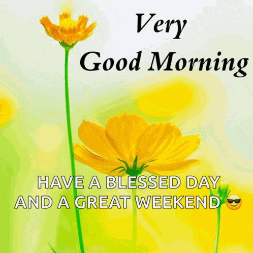 Good Morning Meme
