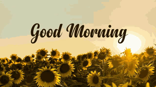 Good Morning Meme
