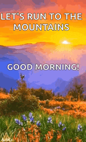 Good Morning GIF