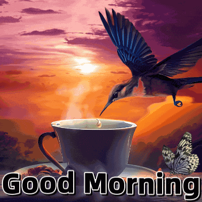 Good Morning Morning GIF