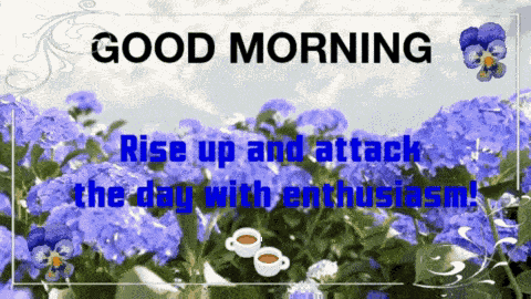 Good Morning Morning Images GIF