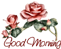 Good Morning Morning Sticker