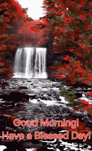 Good Morning Morning Quotes GIF