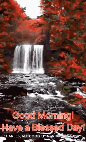 Good Morning Morning Quotes GIF