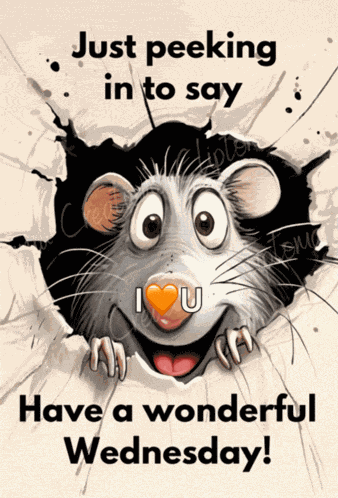 Good Morning Mouse Meme