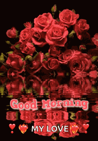 Good Morning My Love GIF