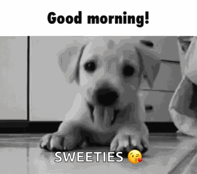Good Morning GIF