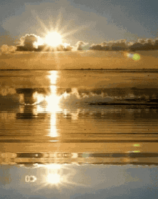 Good Morning GIF