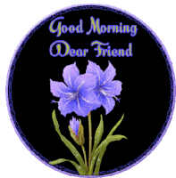Good Morning Purple Amaryllsis Sticker