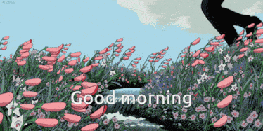 Good Morning GIF