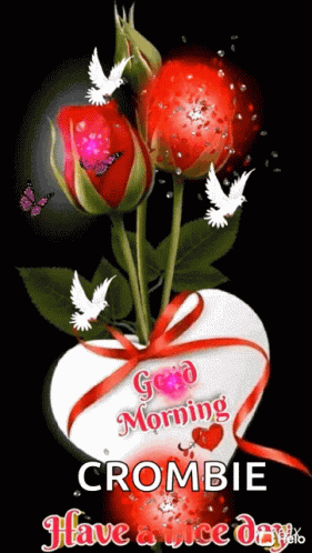 Good Morning GIF